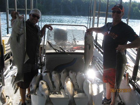 Nice Striped Bass